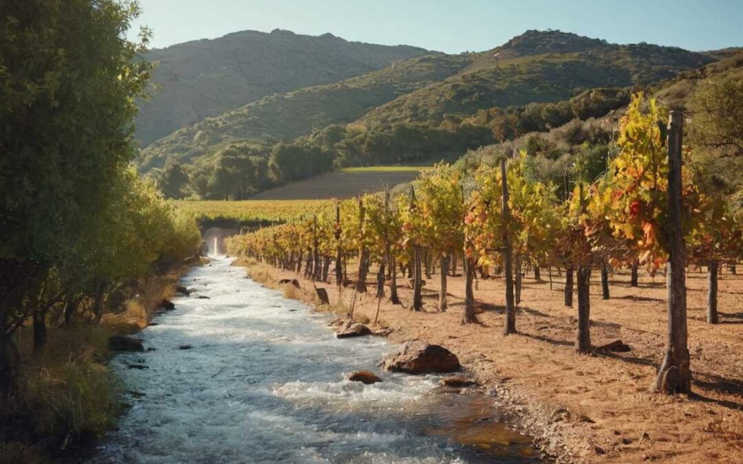 Voyage gustatif les différentes variétés de jambon espagnol à travers les régions